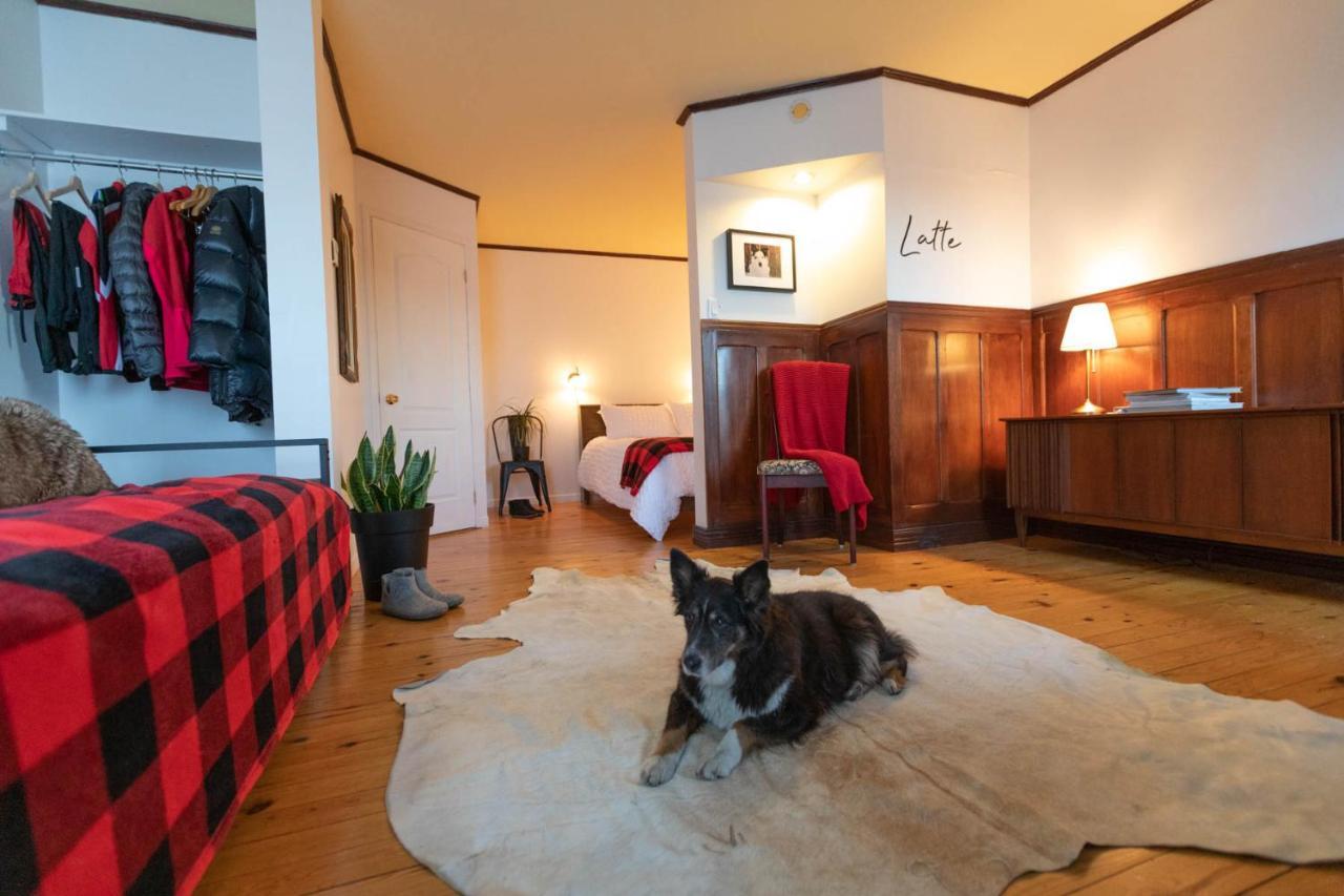 Auberge&Campagne Saint-Ferréol-les-Neiges Extérieur photo